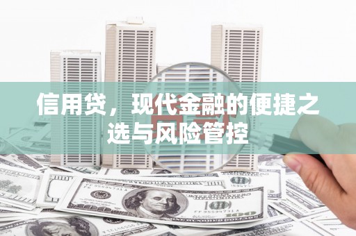 鹿野信用贷，现代金融的便捷之选与风险管控