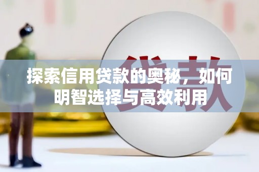大寮探索信用贷款的奥秘，如何明智选择与高效利用