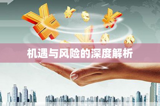 桃江机遇与风险的深度解析