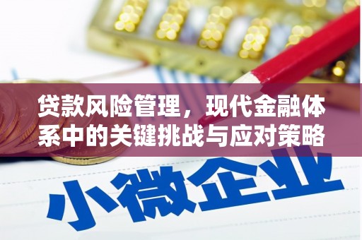 兰溪贷款风险管理，现代金融体系中的关键挑战与应对策略