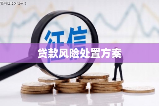 蒙城贷款风险处置方案