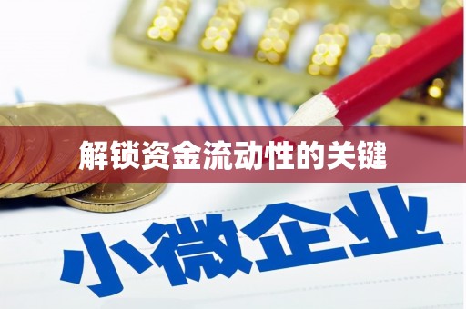 贞丰解锁资金流动性的关键