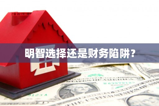 阿尔山明智选择还是财务陷阱？