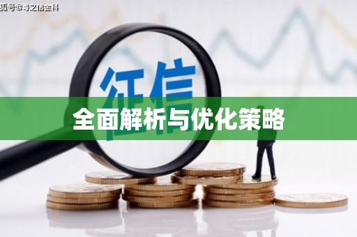 分宜全面解析与优化策略