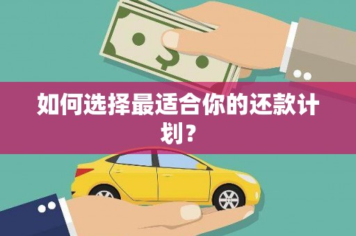 新邱如何选择最适合你的还款计划？