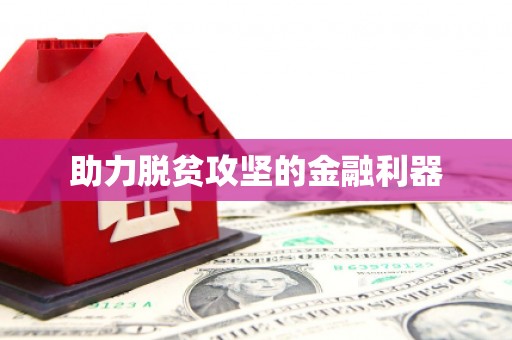 南湖助力脱贫攻坚的金融利器